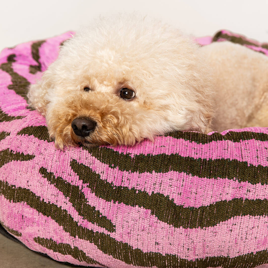 DOGGUO - Zebra Round Dog Bed - Pink / Green