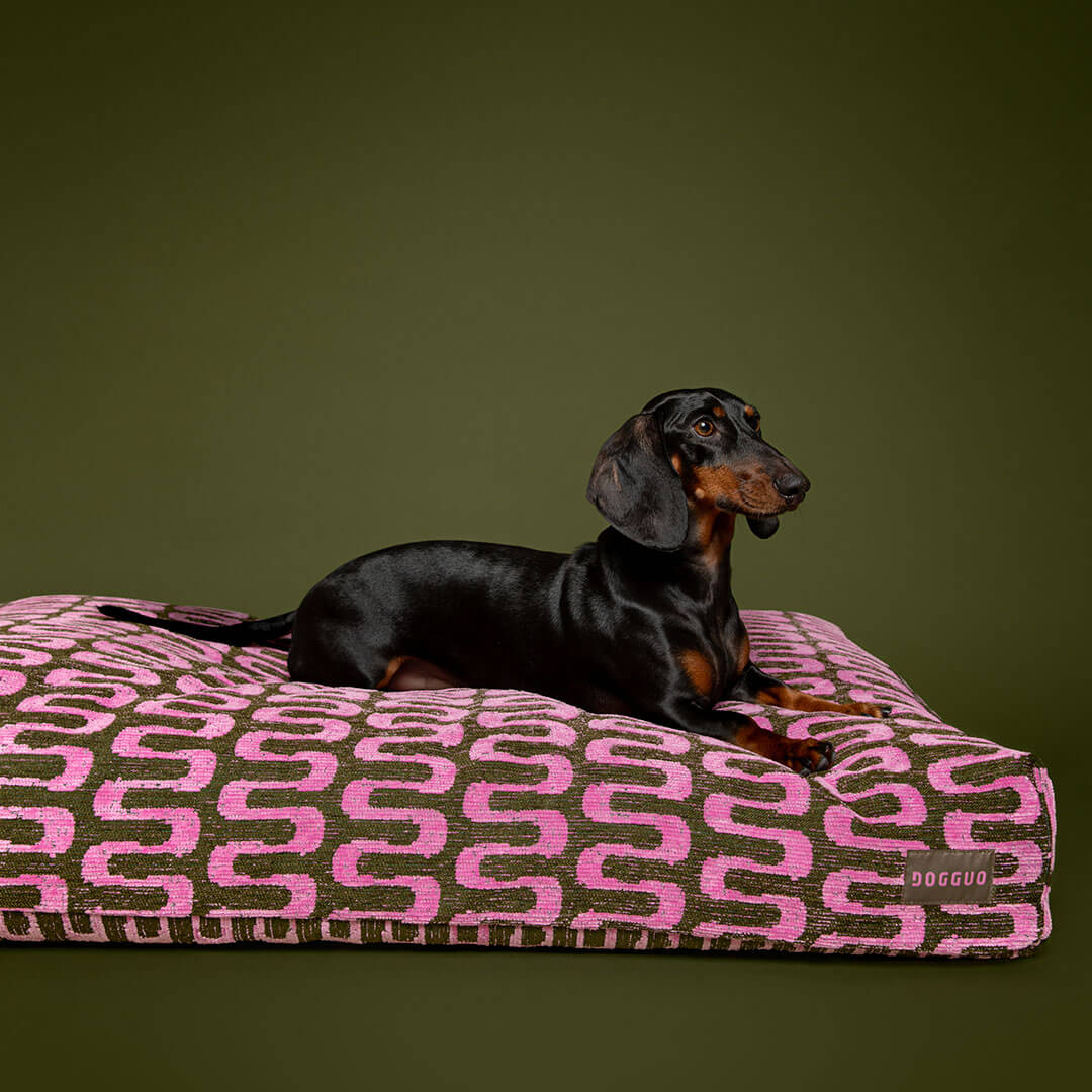 Retro Dog Bed - Green / Pink