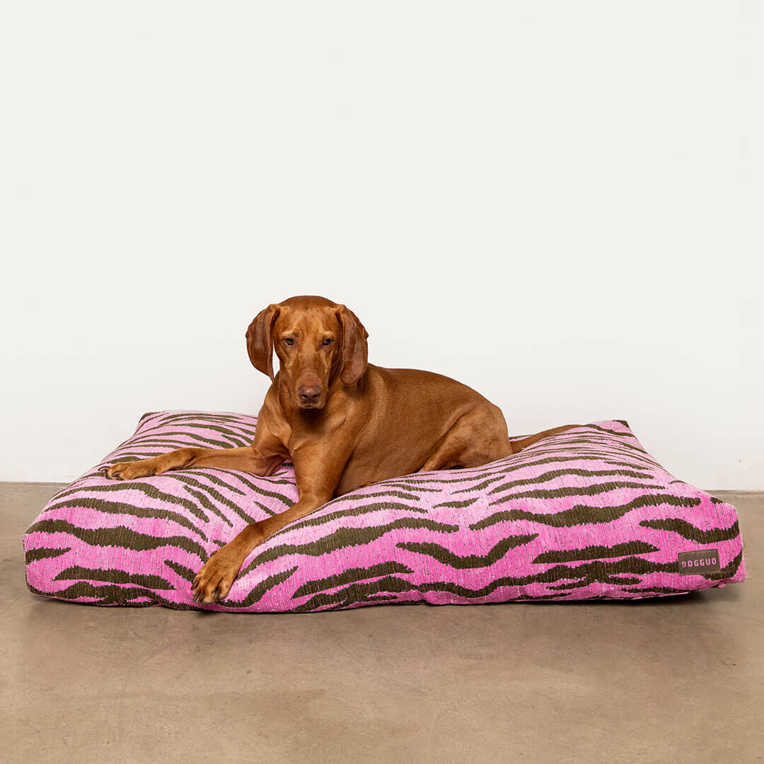 Zebra Dog Bed - Pink / Green