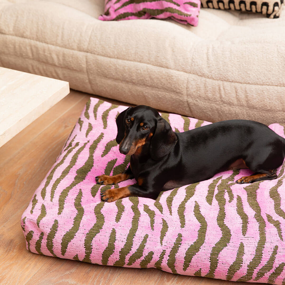 Zebra Dog Bed - Pink / Green