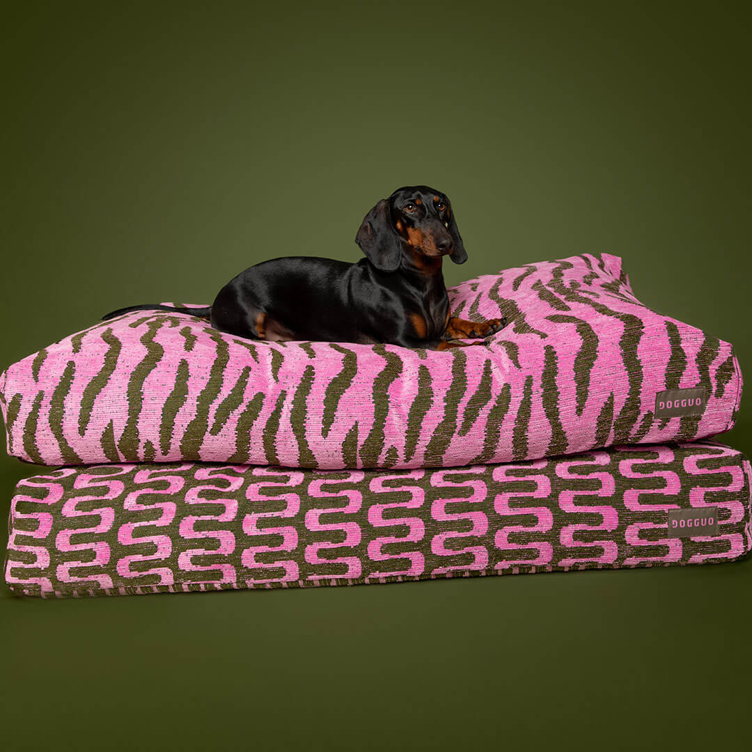 Zebra Dog Bed - Pink / Green