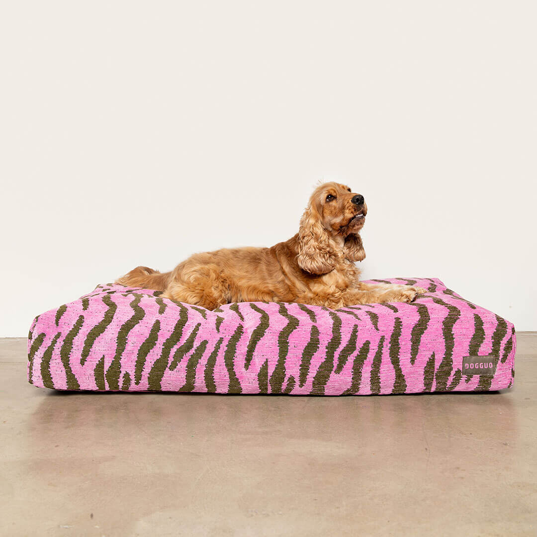 Zebra Dog Bed - Pink / Green