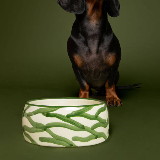 Zebra Dogbowl - Green / Beige