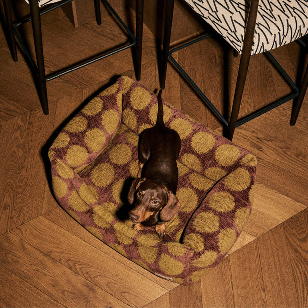 DOGGUO - Stip sofa hondenmand - Bruin/Groen