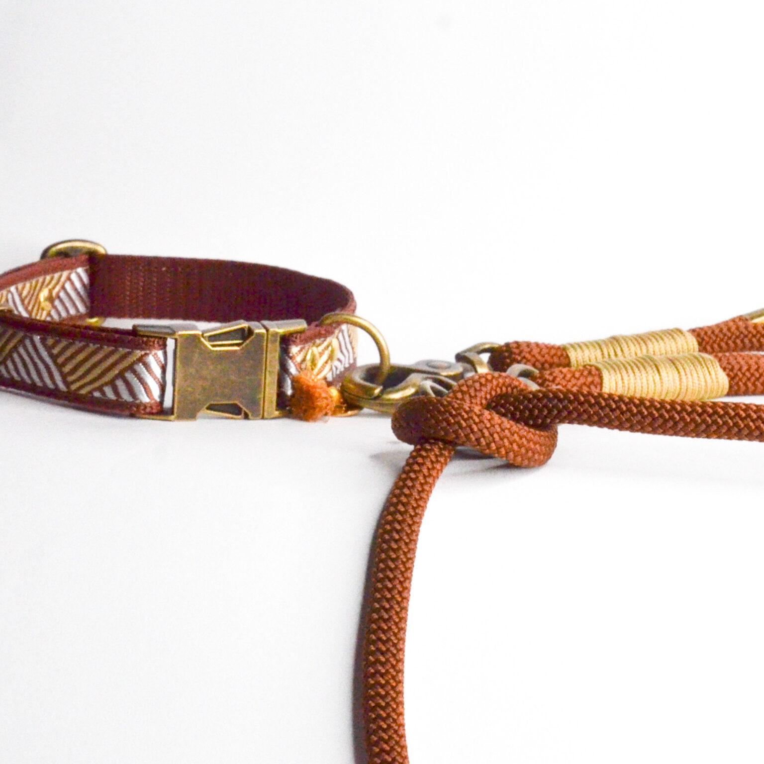 Rockxdogs - Halsband Ziggy