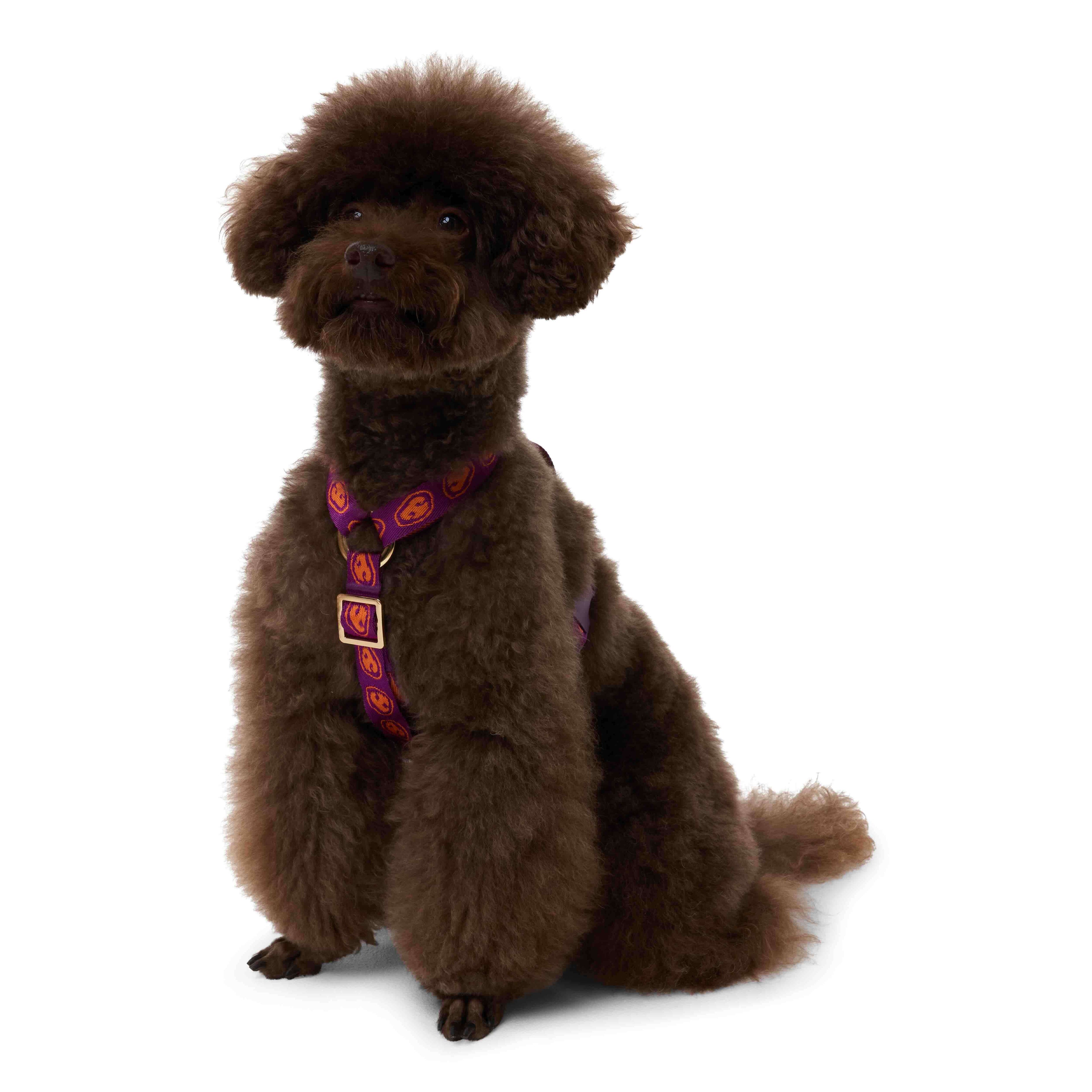 Furmey - Y-harnas Orange