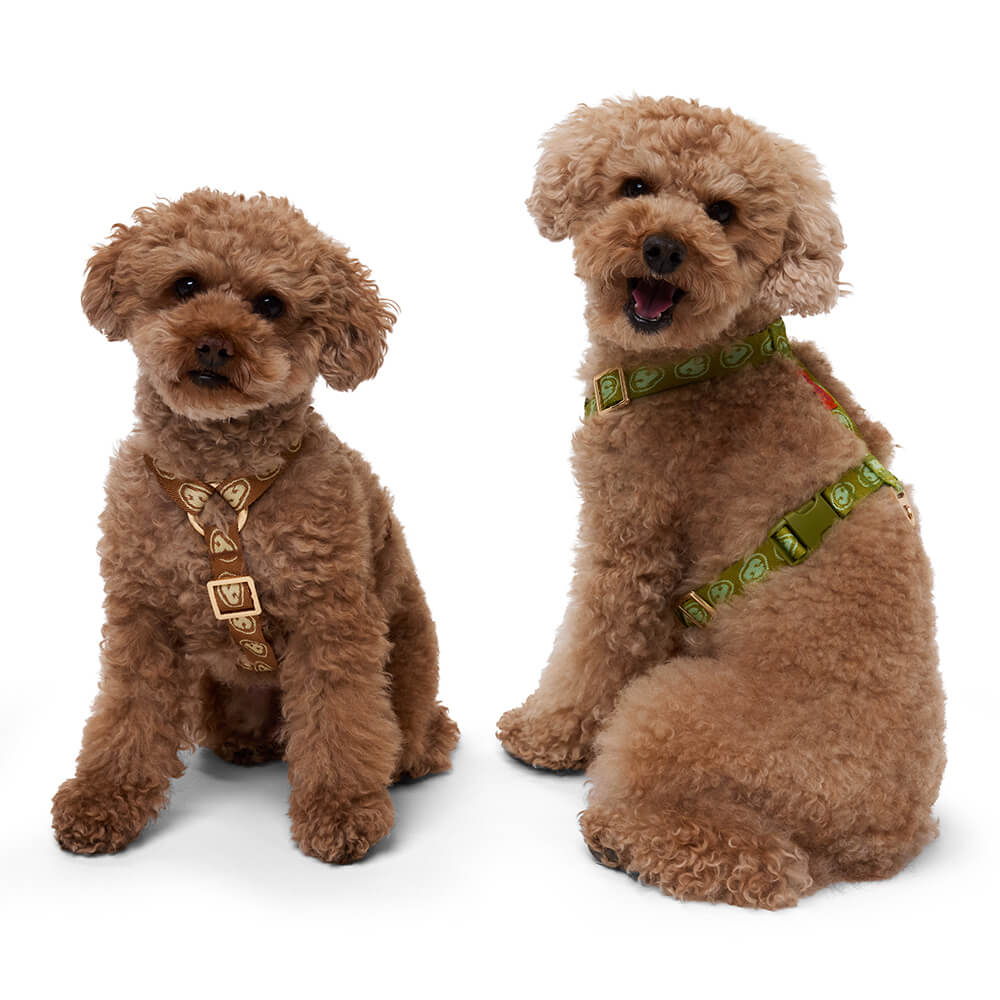 Furmey - Y-harnas Latte Brown