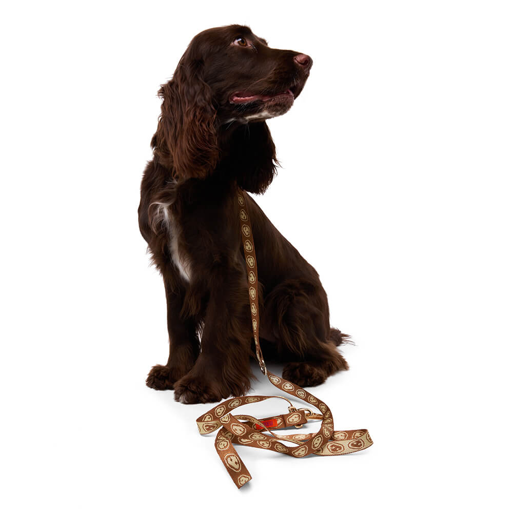 Furmey - Handsfree leash Latte Brown