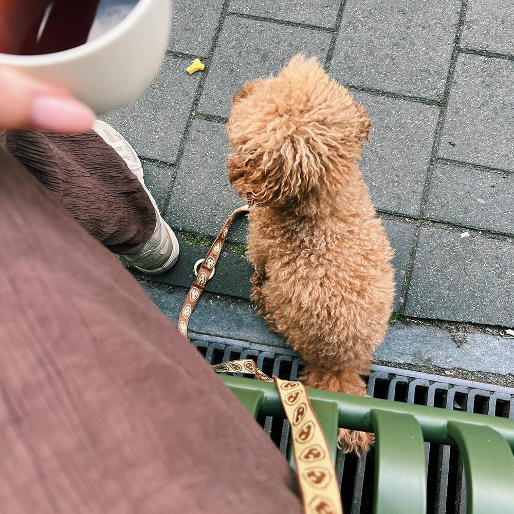 Furmey - Halsband Latte Brown