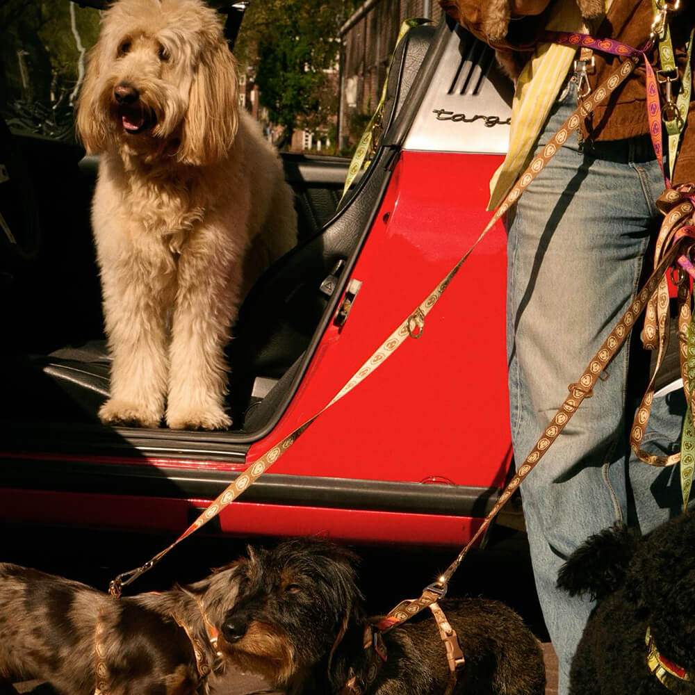 Furmey - Handsfree leash Latte Brown