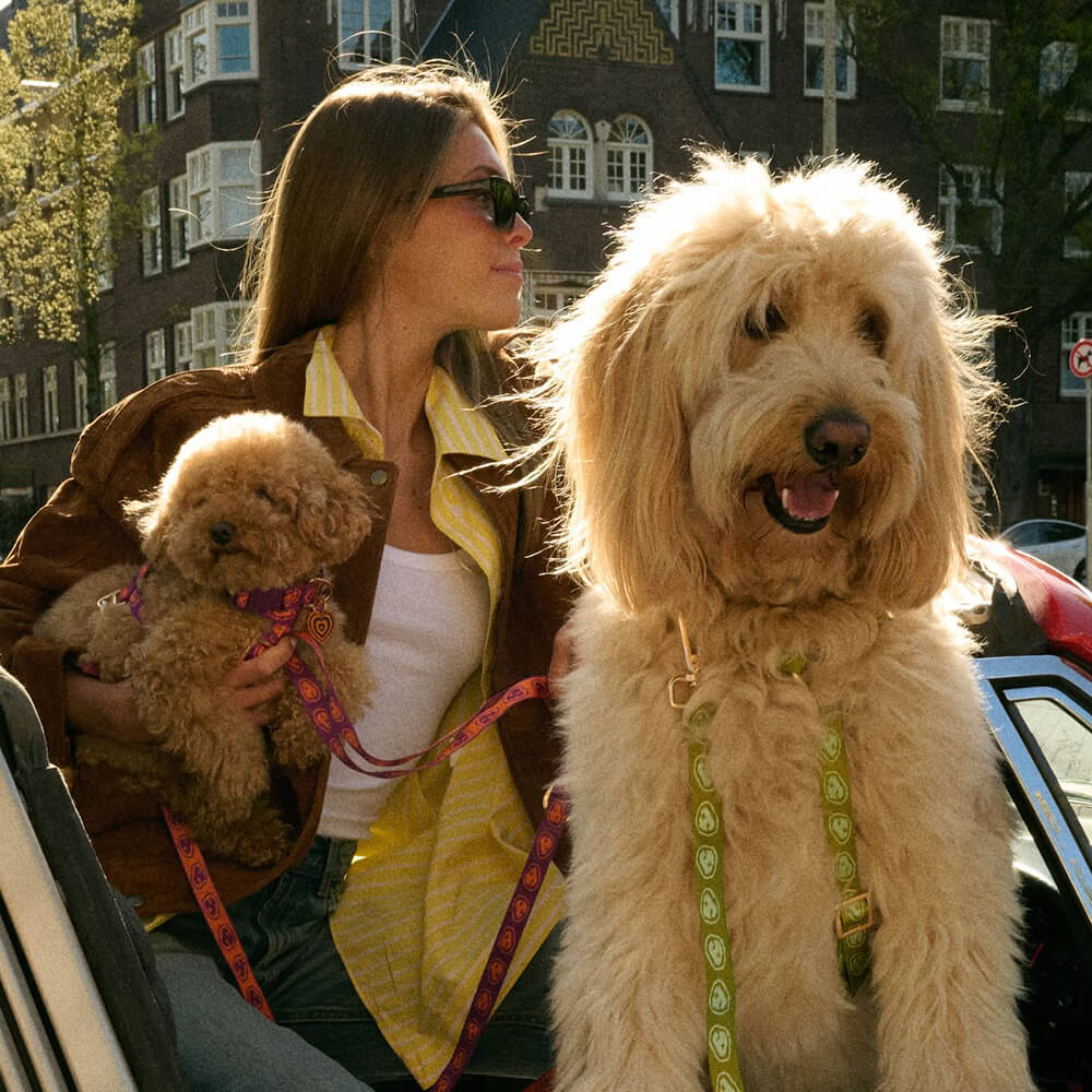 Furmey - Handsfree leash Matcha Green