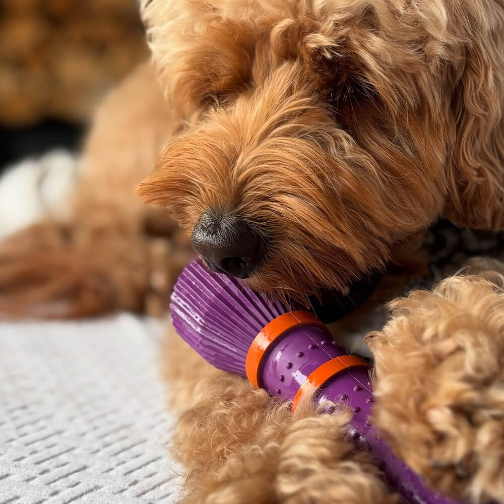 Furmey - Zoomies - Purple