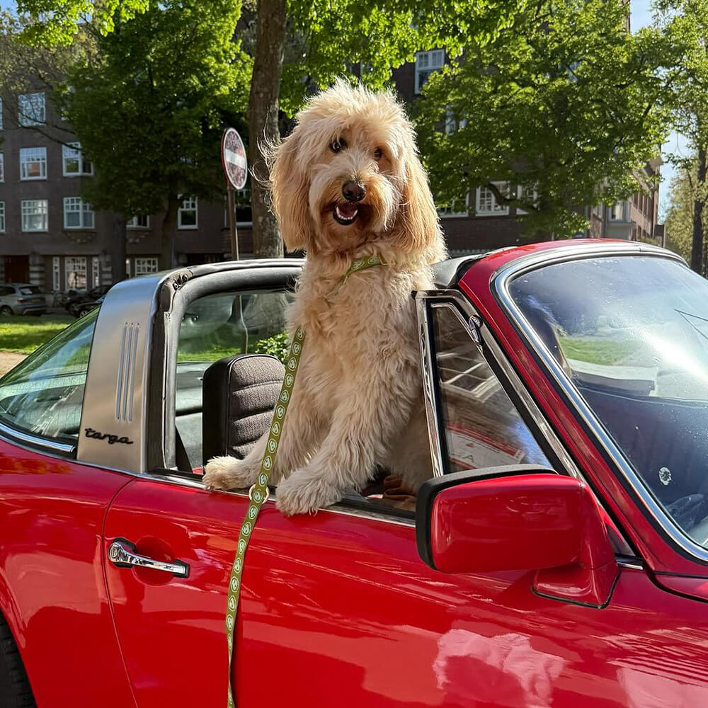 Furmey - Handsfree leash Matcha Green