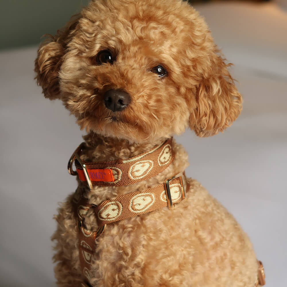 Furmey - Halsband Latte Brown