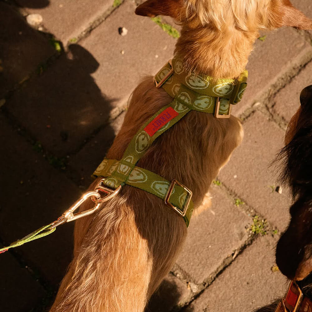 Furmey - Y-harnas Matcha Green