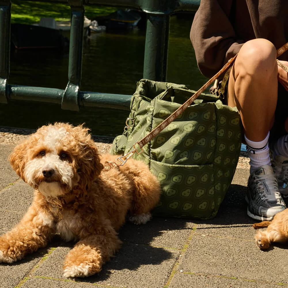 Furmey - Handsfree leash Latte Brown