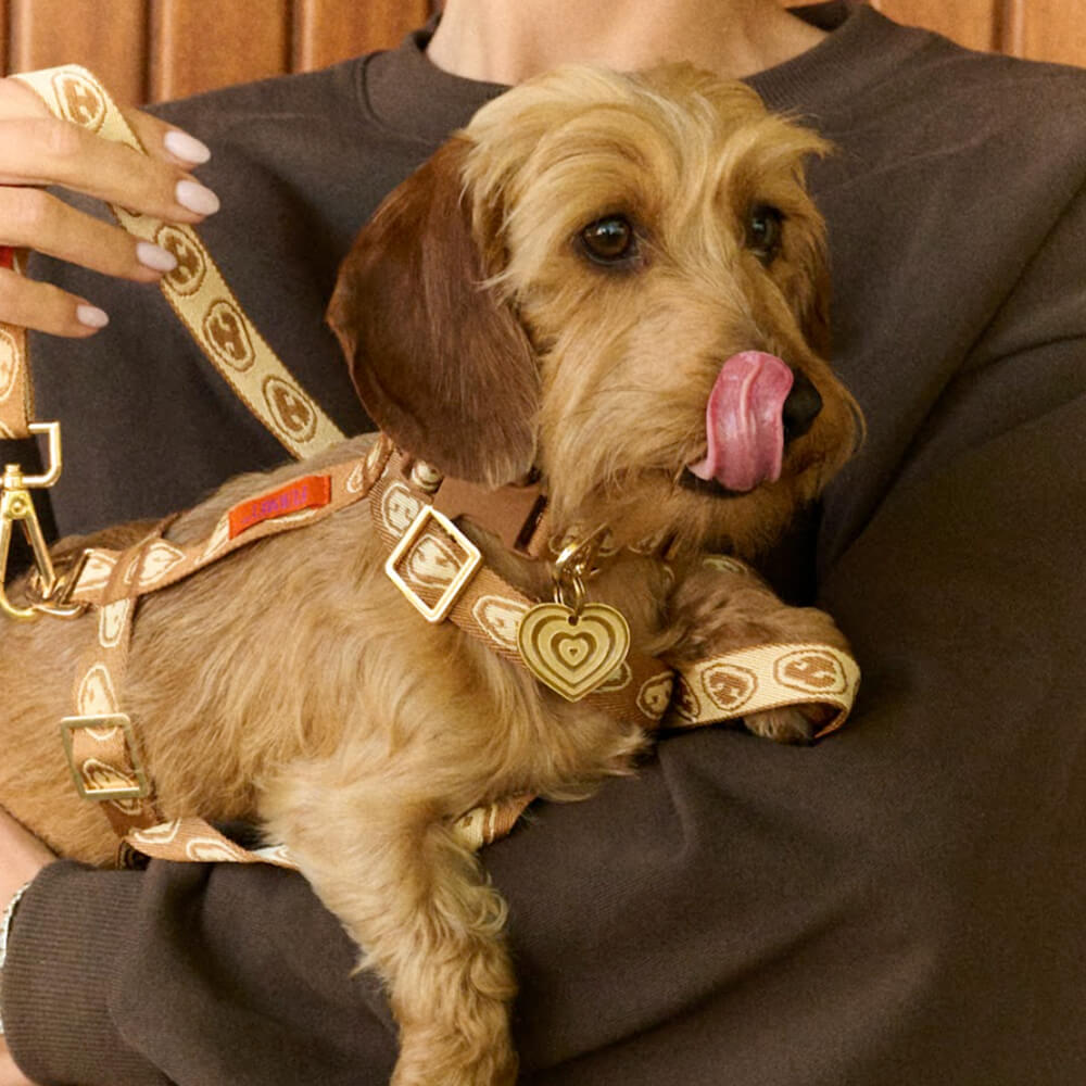 Furmey - Handsfree leash Latte Brown