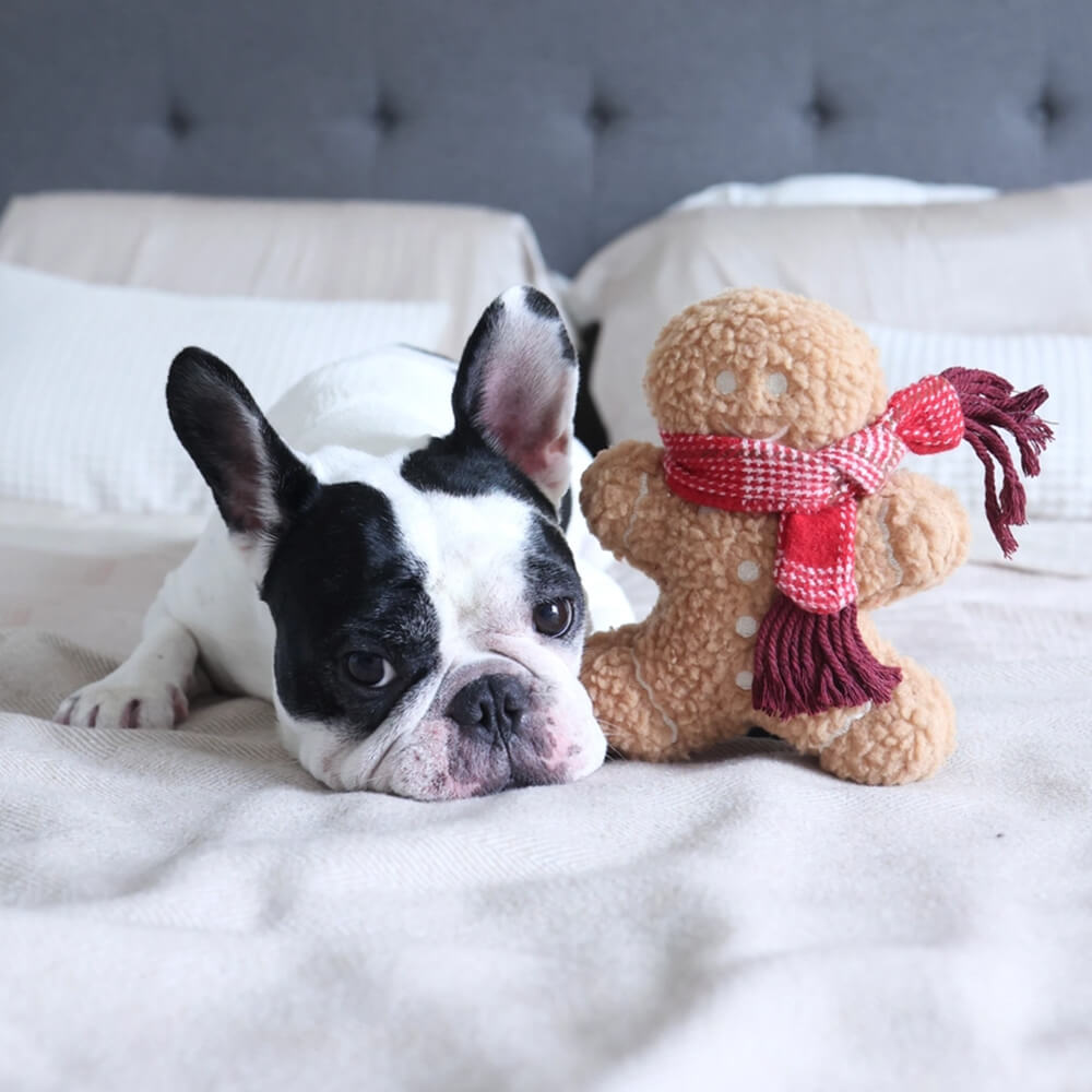 Lambwolf Collective - Mister Gingerbread