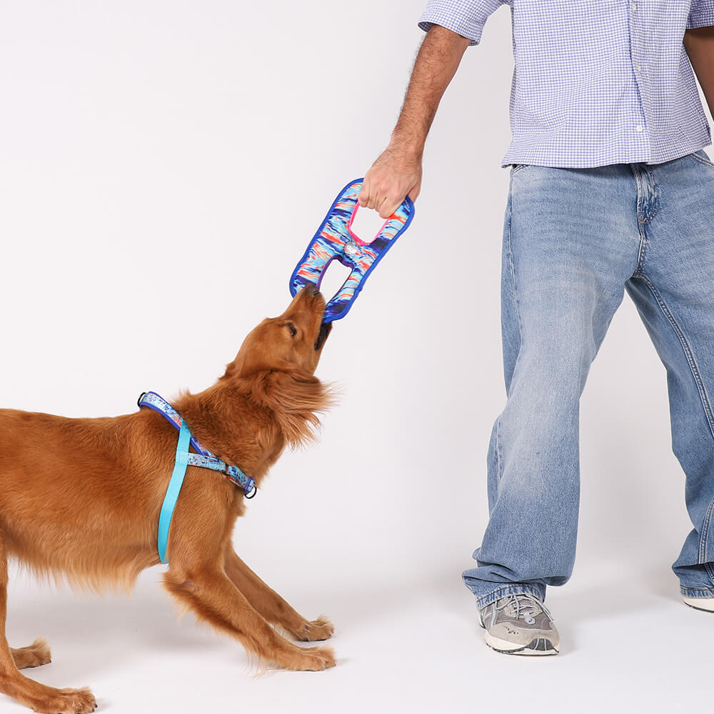 Zee.Dog - Glitch Mesh Tug Toy Error #404 (24 cm)