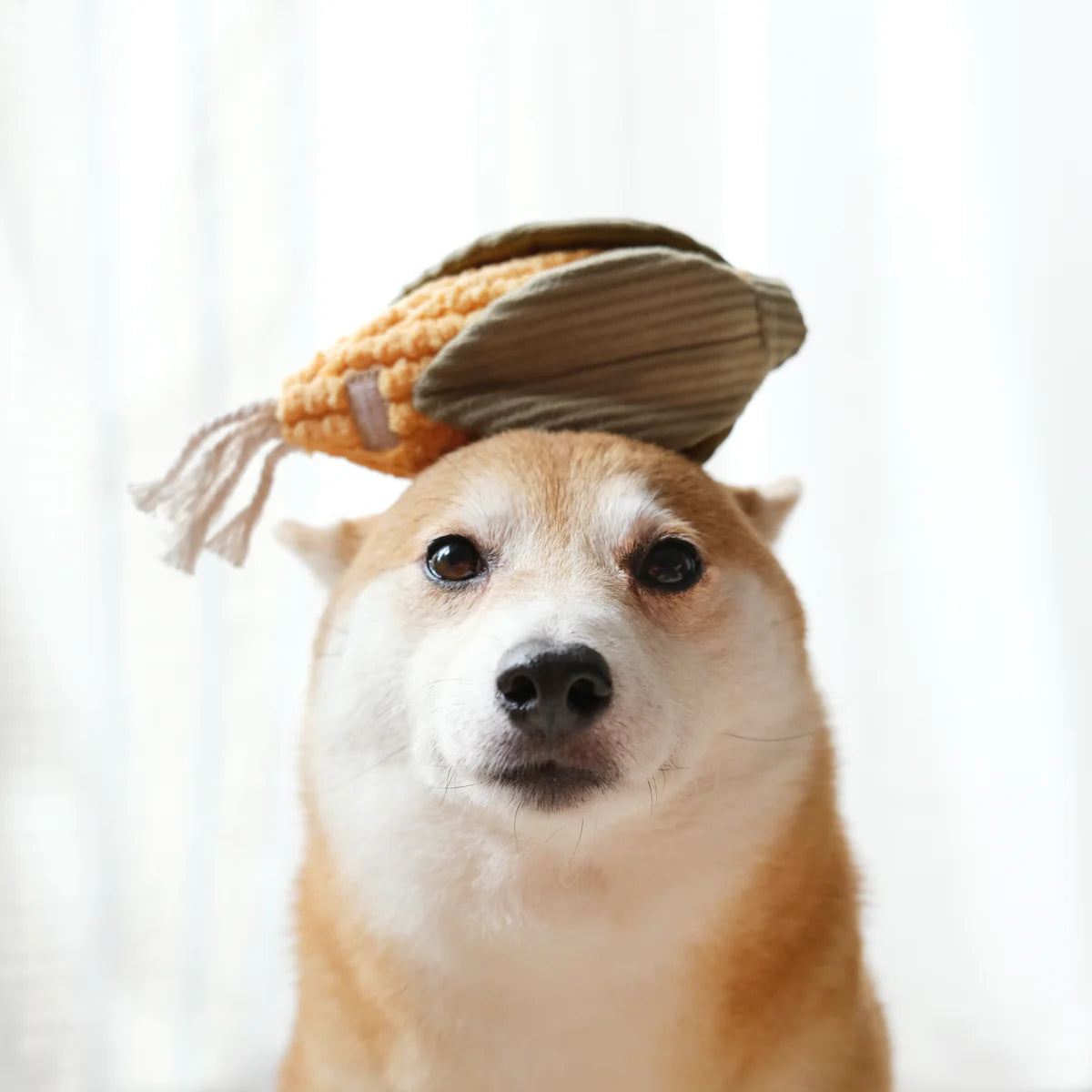 Lambwolf Collective - CORN (20 cm)