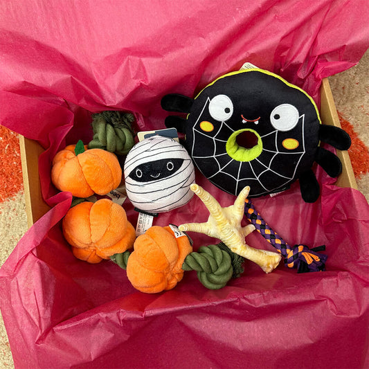 Trick or Treat box