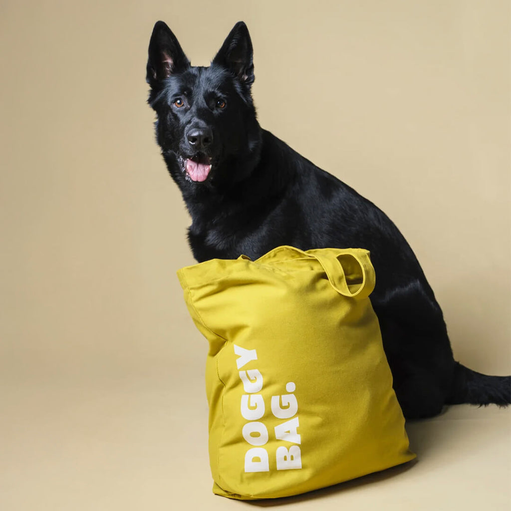 Heyday - Doggy Bag Seaweed