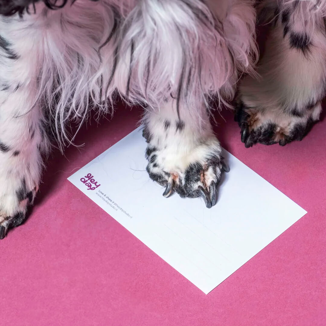 Heyday - Wenskaart - Oh sh*t