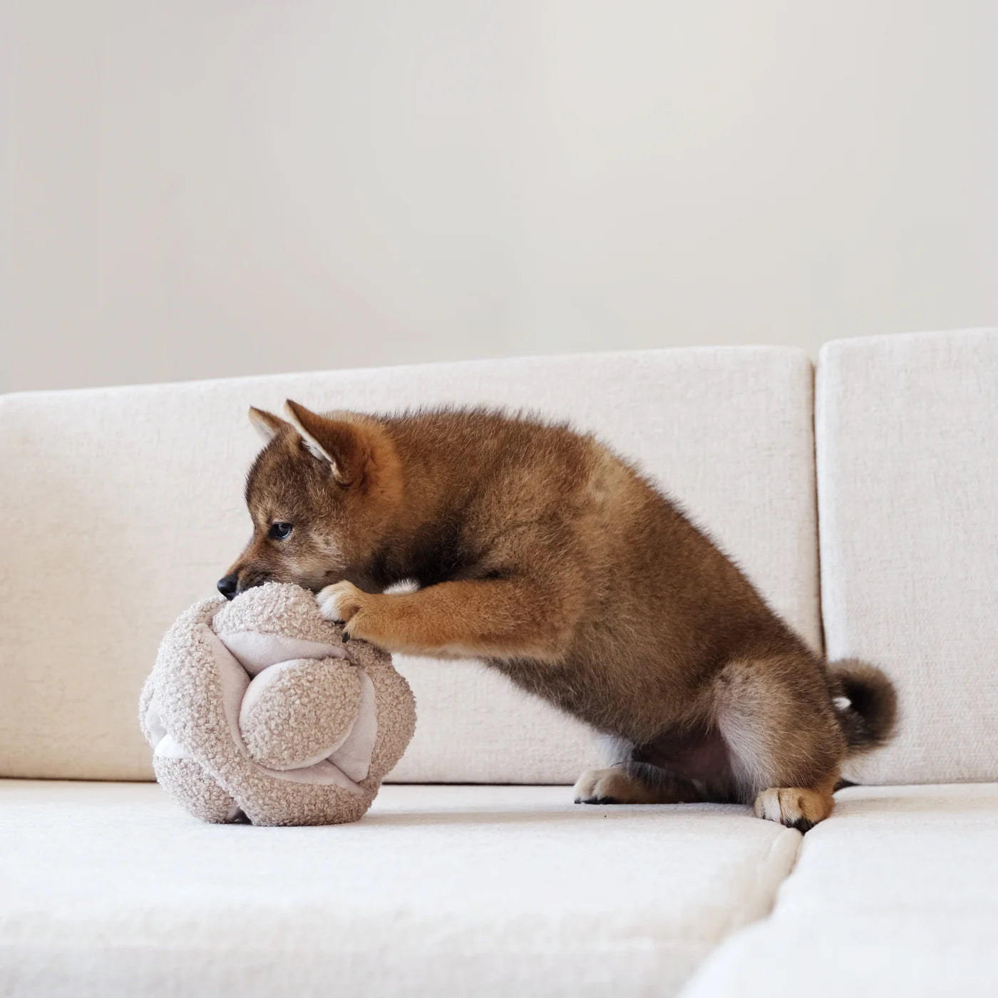 Lambwolf Collective - MONTI Oat (15 cm)