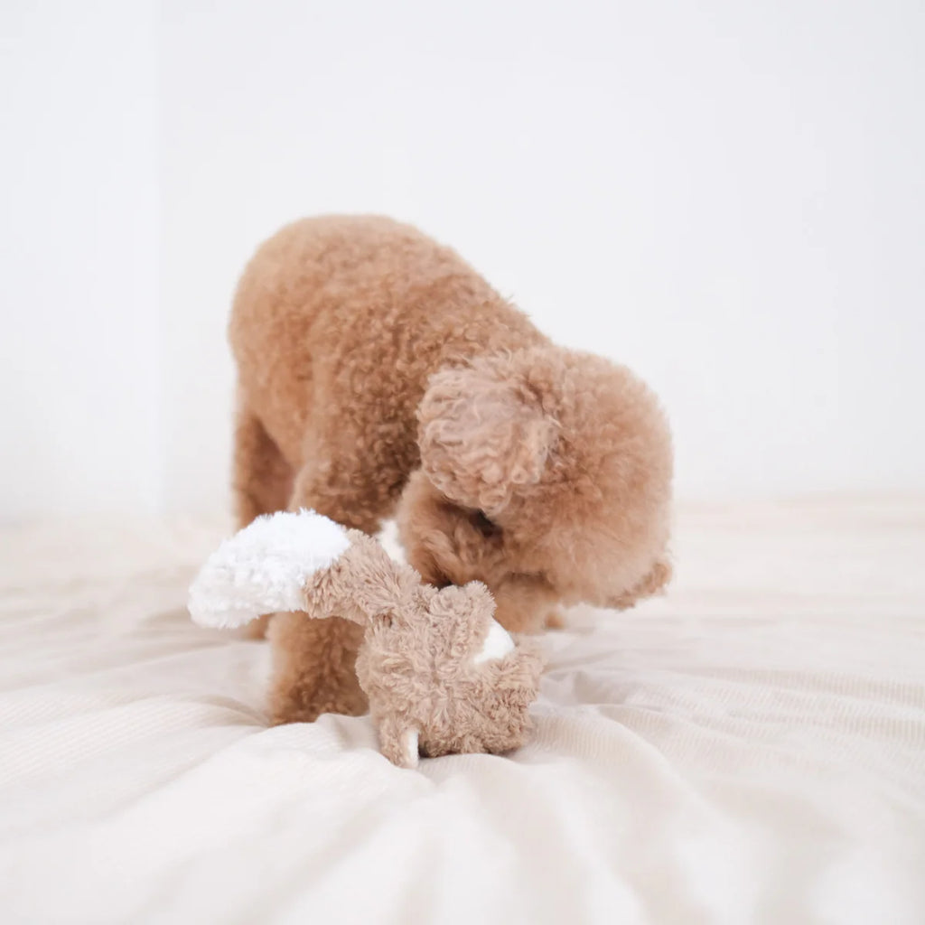 FOX POP (20 cm)