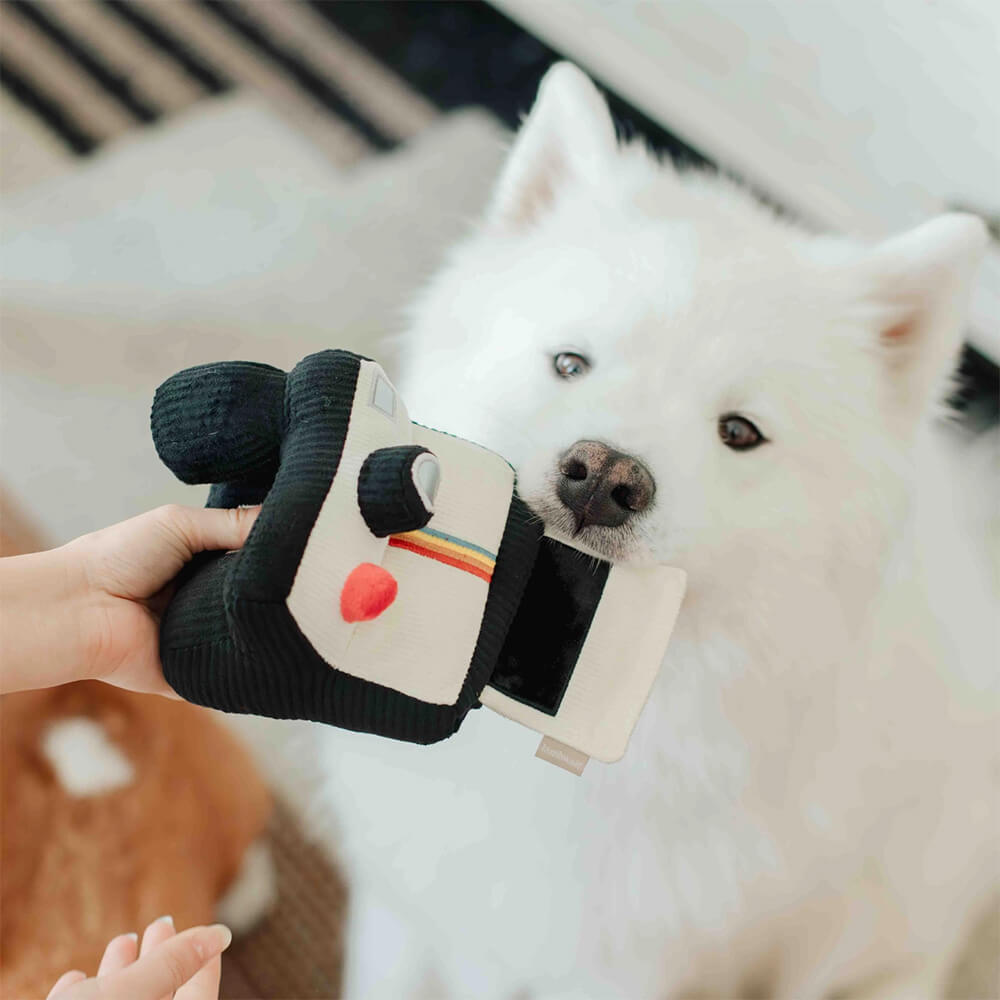 Lambwolf Collective - Instant Camera (15 cm)