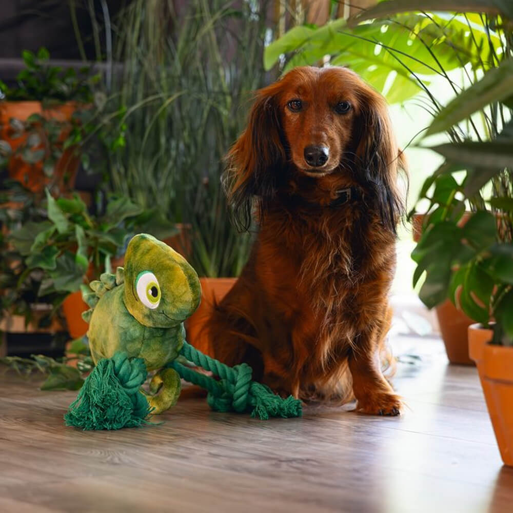 Beeztees - Jungle Kodi (28 cm)