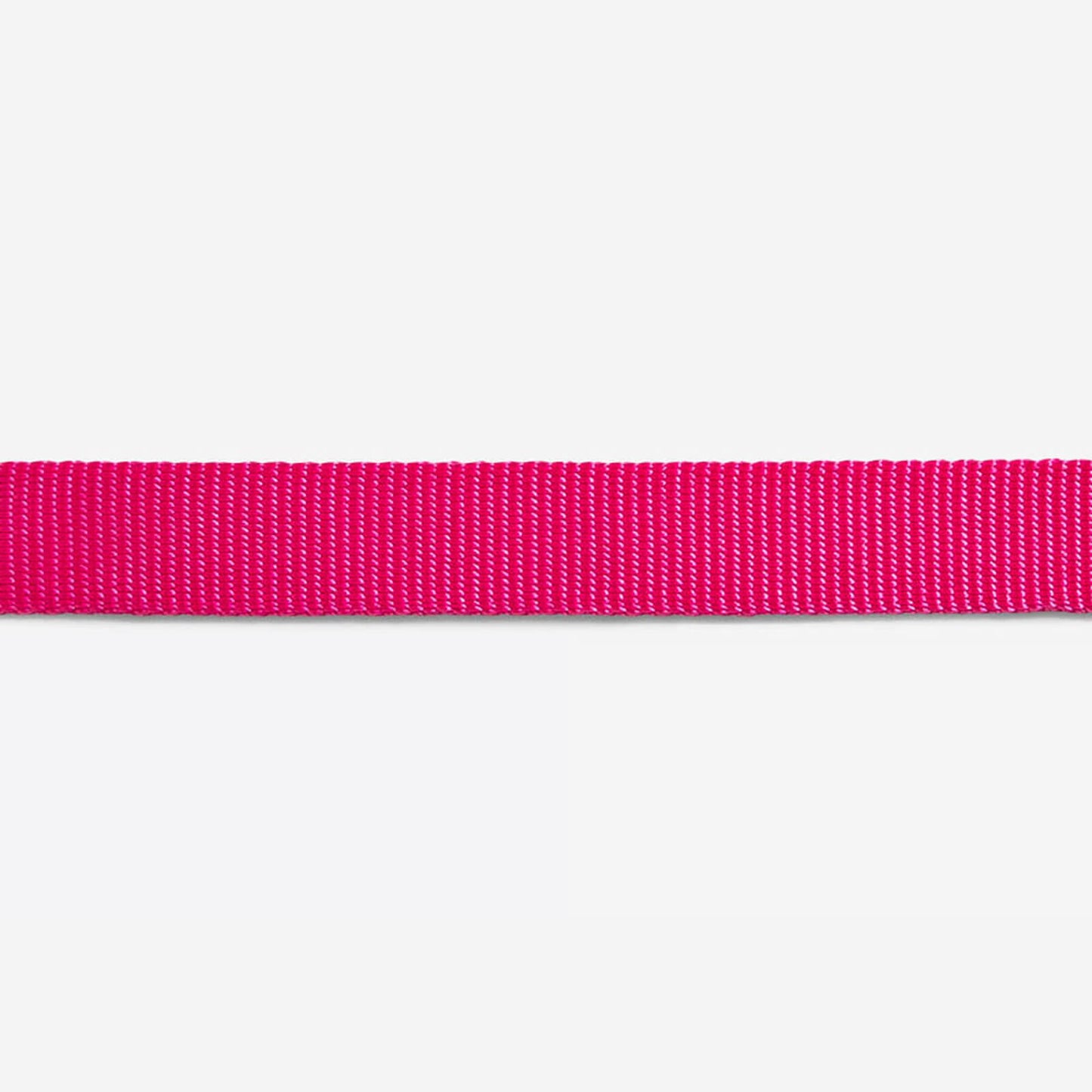 Zee.Cat - Kattentuigje + Riem Set Pink Led