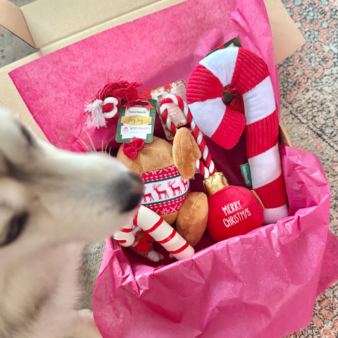 Kerstpakket - Sweet Turkey