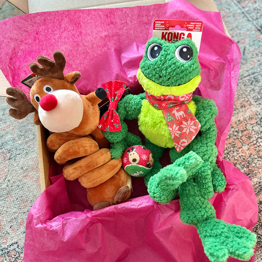 Weihnachtspaket – Fröhliche Feiertage