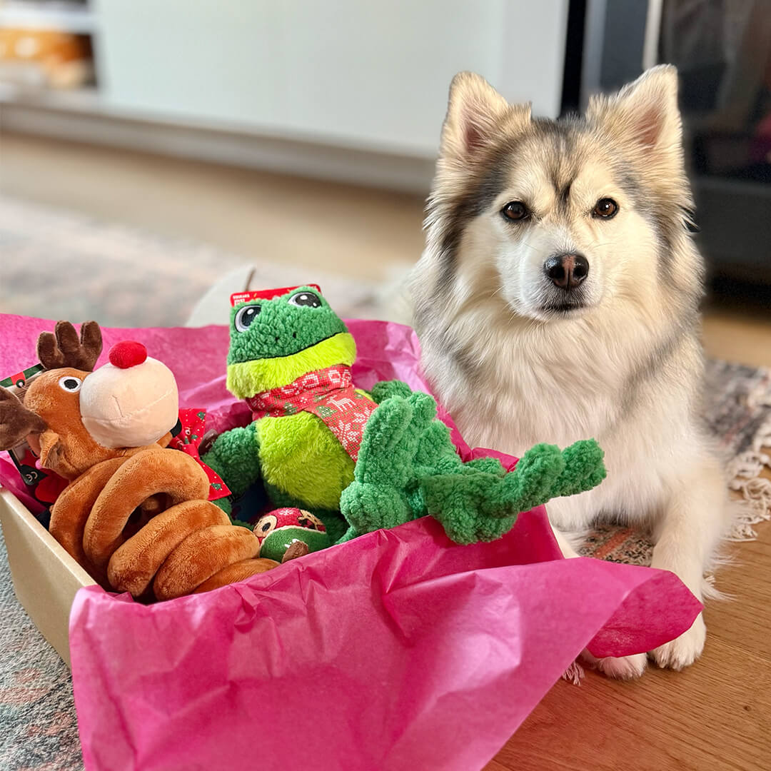 Weihnachtspaket – Fröhliche Feiertage