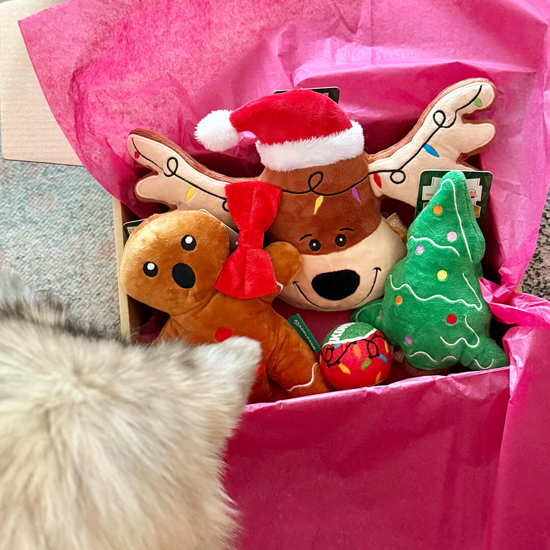 Kerstpakket - Everything XMAS