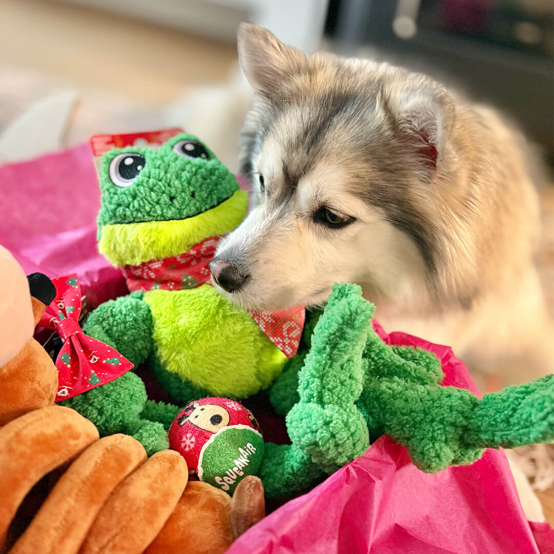 Weihnachtspaket – Fröhliche Feiertage