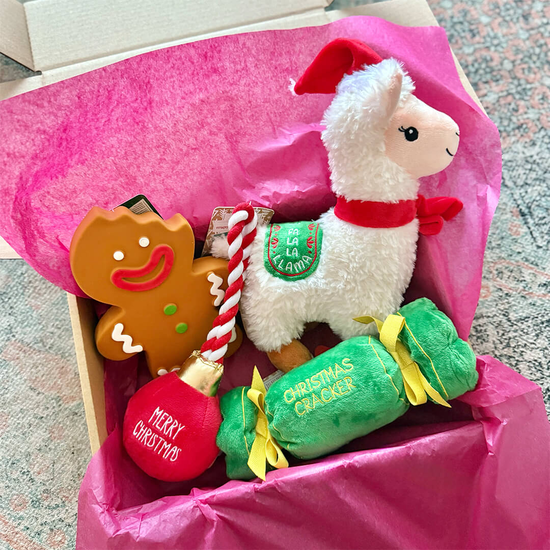 Kerstpakket - Merry Llama