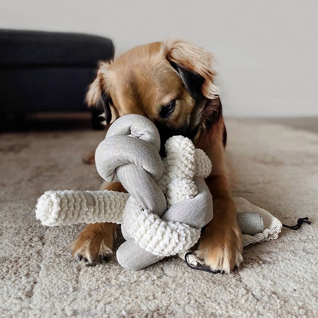  Lambwolf Collective - NOU