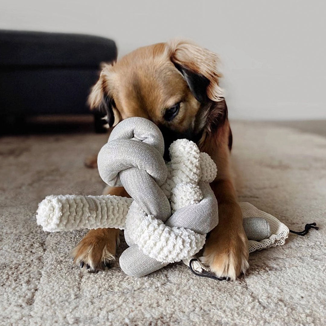  Lambwolf Collective - NOU