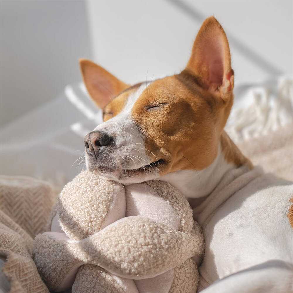 Lambwolf Collective - MONTI Oat (15 cm)