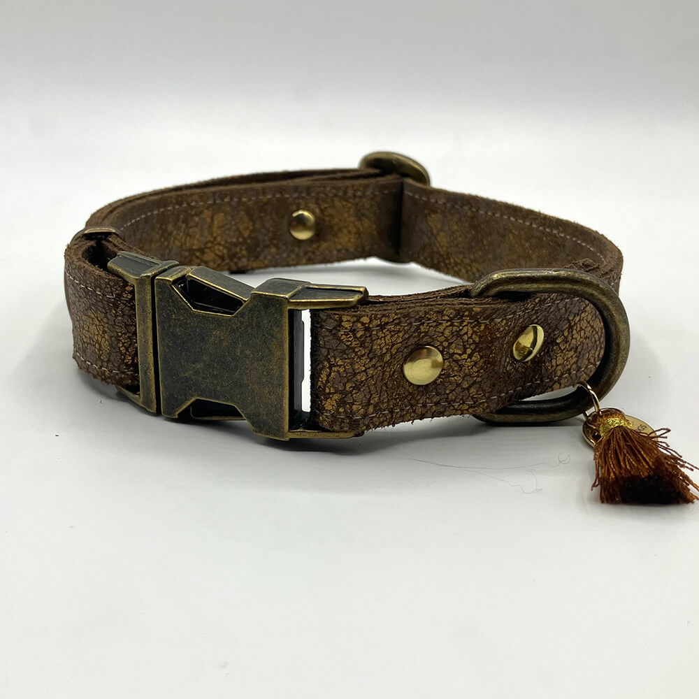 Rockxdogs - Leren halsband Cappuccina