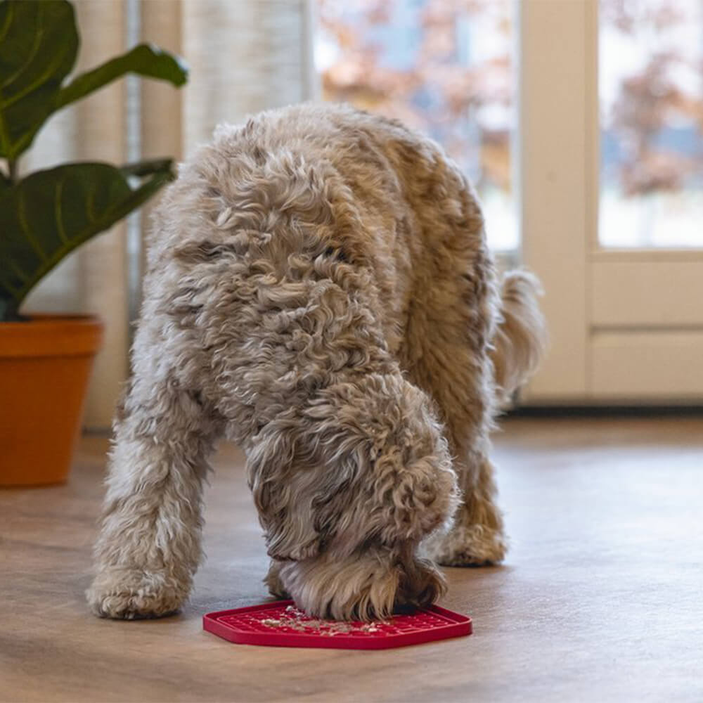 Beeztees - Likmat Hexagon