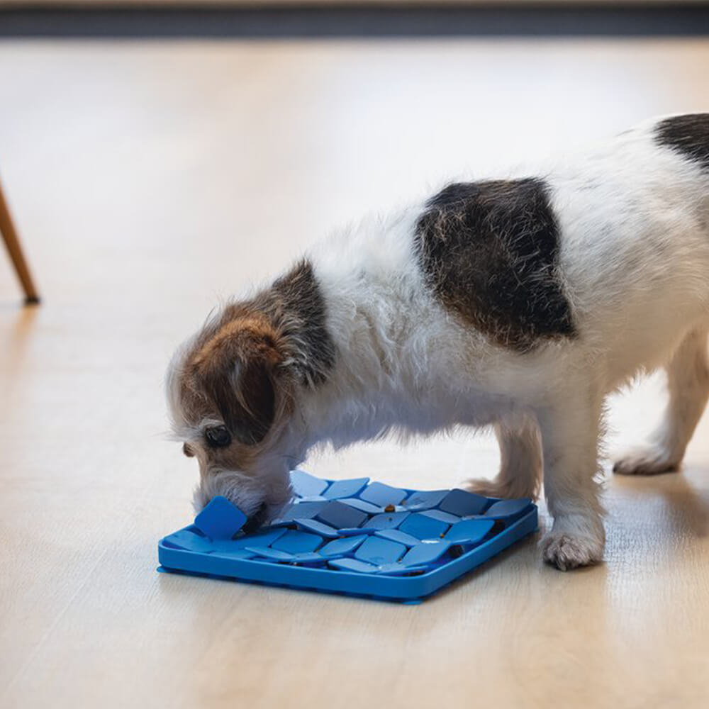 Beeztees - Likmat Smulpaap