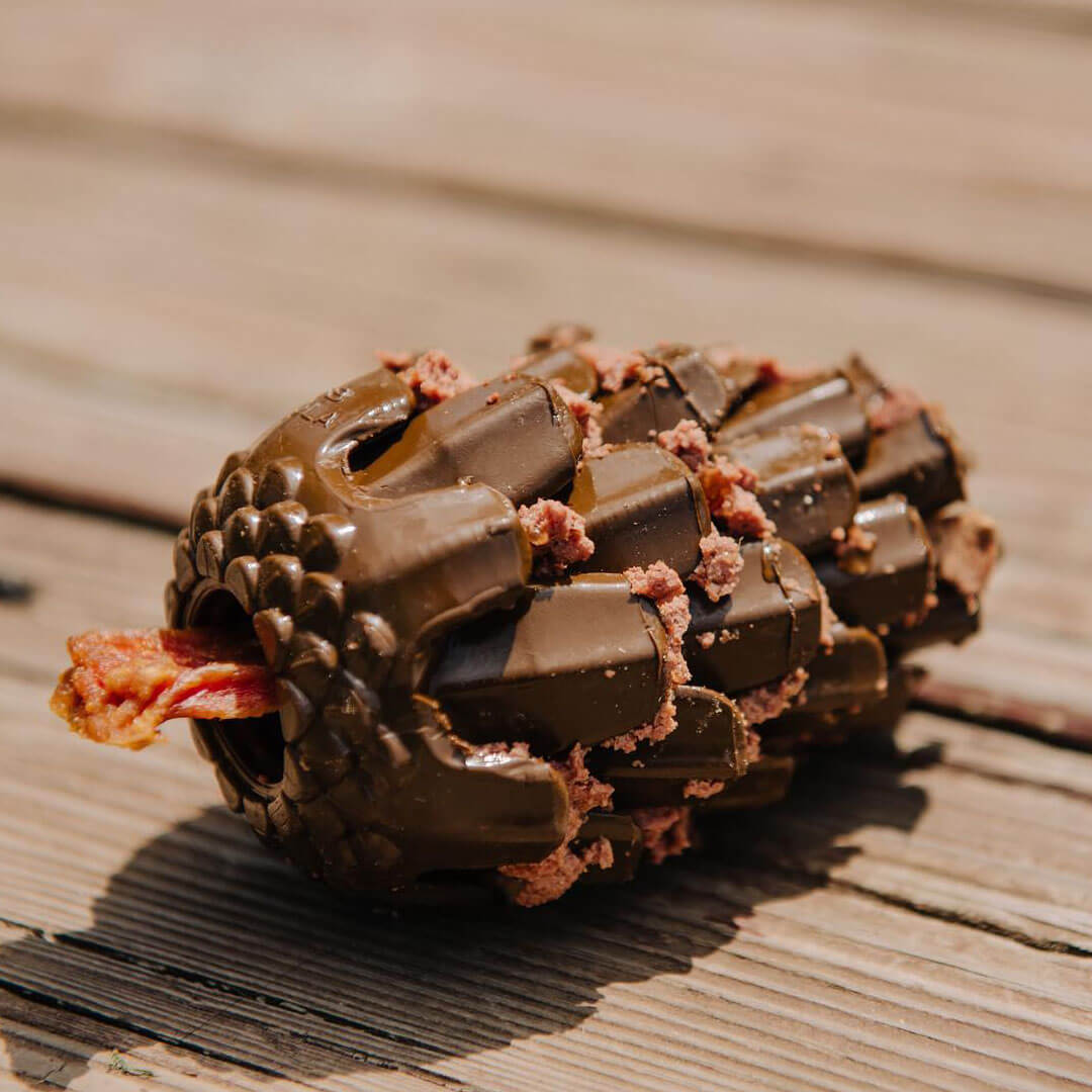 Loblola bij Neusje van Geusje - Loblolly Pinecone