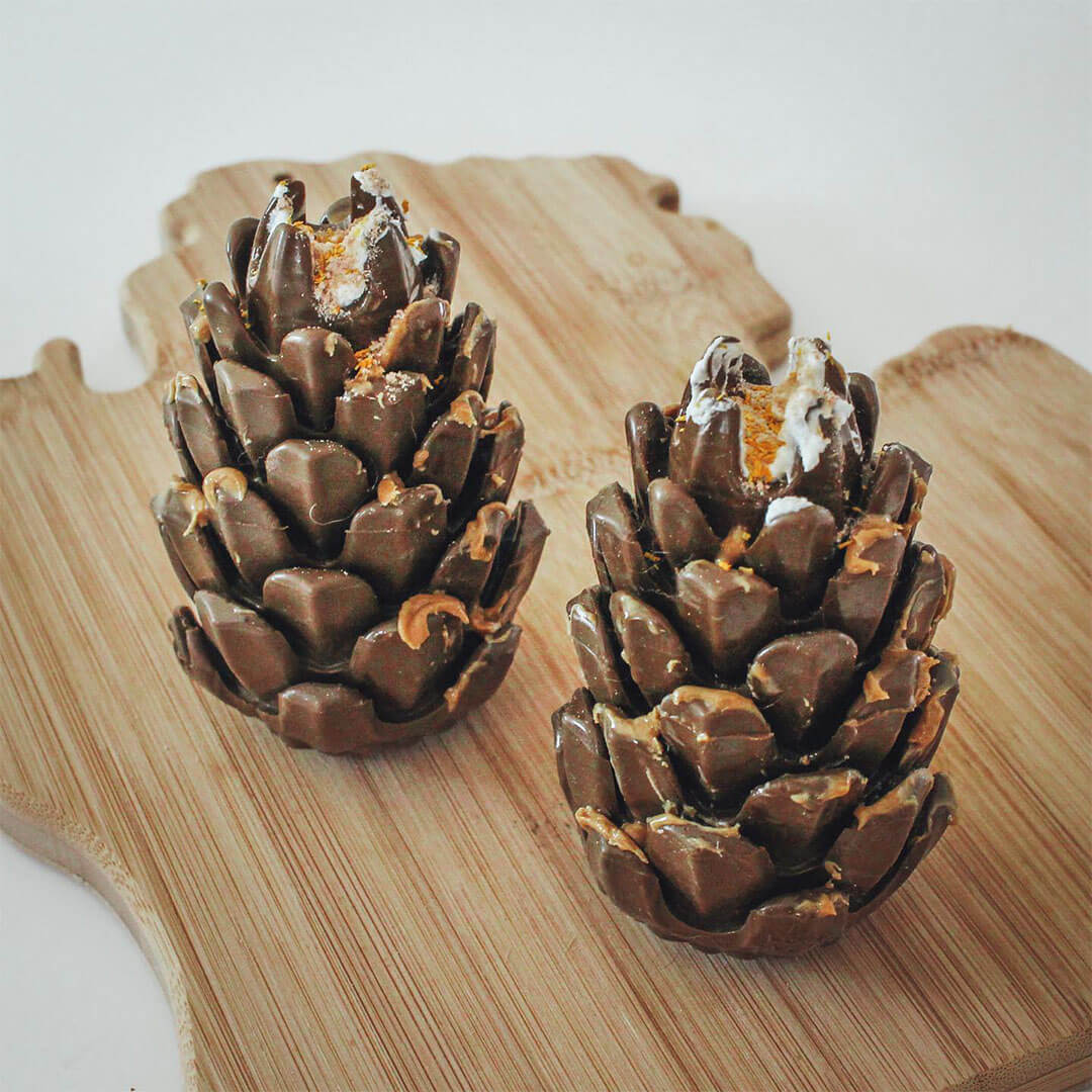 Loblola bij Neusje van Geusje - Loblolly Pinecone