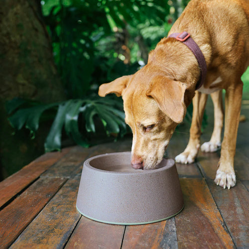 Zee.Dog - Classic Bowl Naturals