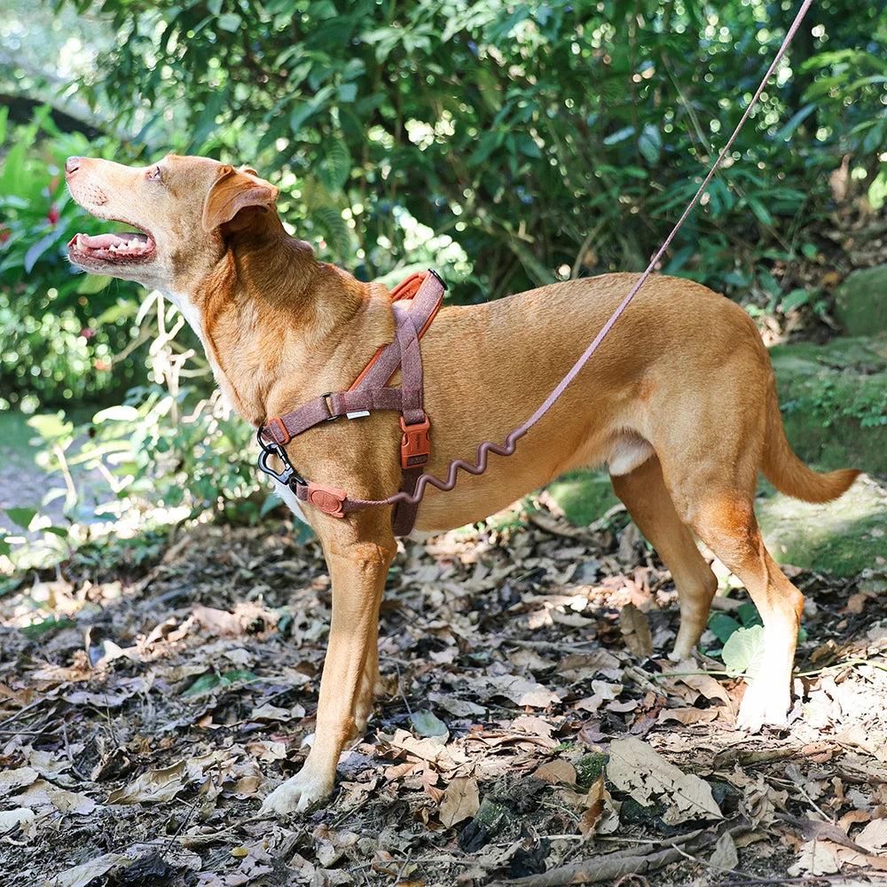 Zee.Dog - Cocoa Softer Walk harnas