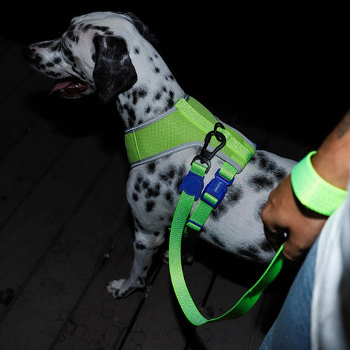 Zee.Dog - Adjustable Air Mesh harnas Nox Lumen