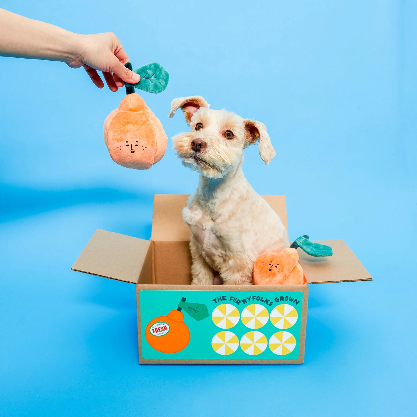 The Furryfolks - Orange (17 cm)